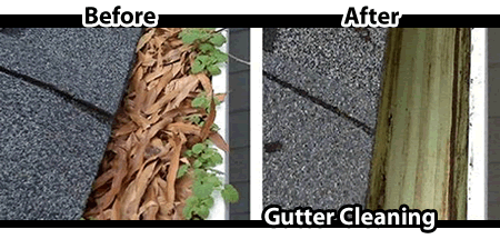Hamilton Gutter Cleaning